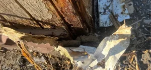 Team Members Image 3