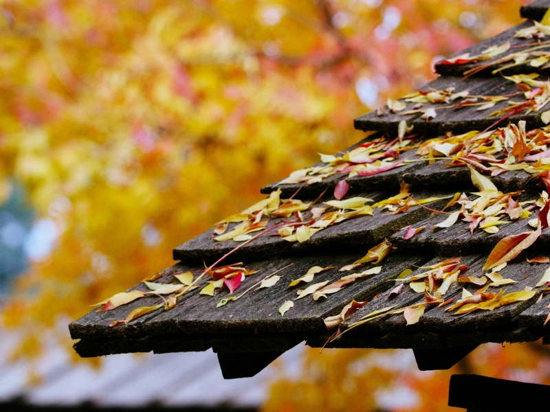 how often to replace roof