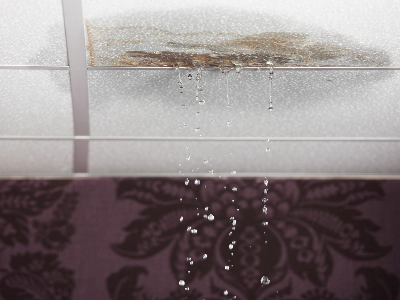 Roof Leak Detection How to Find and Fix Leaks Before They Worsen Blog
